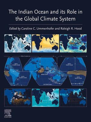 cover image of The Indian Ocean and its Role in the Global Climate System